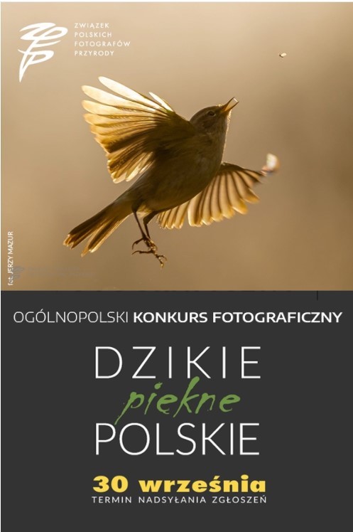 „Dzikie, piękne, polskie” konkurs fotografii przyrodniczej
