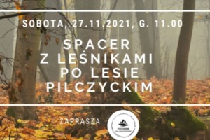 Wydarzenie- spacer po lesie Pilczyckim