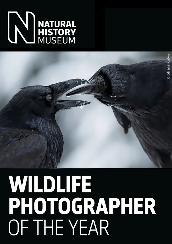 Konkurs fotograficzny Wildlife Photographer of the Year 2023