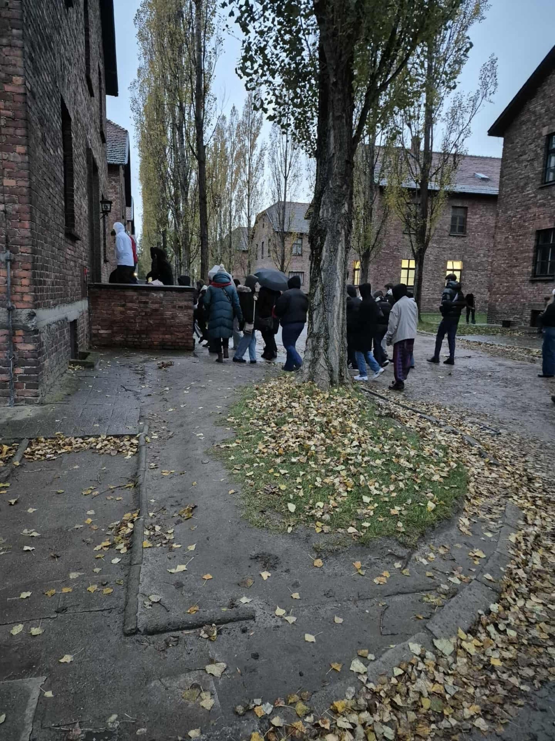 Wyjątkowe lekcje historii i języka polskiego klasy humanistycznej 4D – 27.10.2025r.